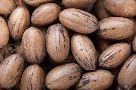 Whole Pecans in Shell - 1 lb